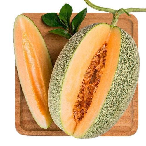 吃瓜蜜瓜头像图片可爱,蜜意盎然——可爱吃瓜蜜瓜头像，带你领略夏日清凉