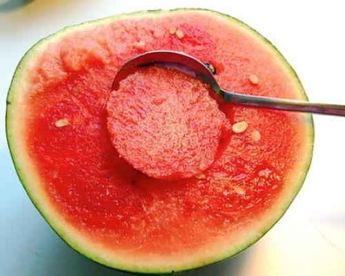 燕燕吃不饱吃瓜,从吃不饱到吃瓜的奇妙旅程