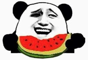 吃瓜资源吃瓜群众聚集地,瓜众聚集地的秘密世界