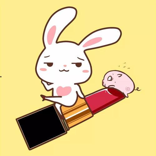 天麻瓜怎么吃,解锁健康美味新体验