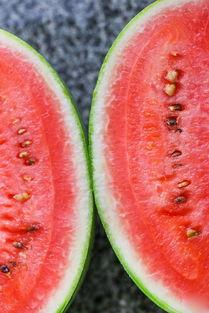 很会吃的瓜,跟随“很会吃的瓜”品味人间烟火