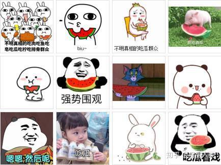 有瓜大家吃啊,共品生活滋味