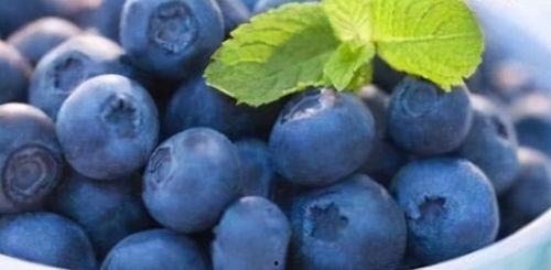 吃瓜视频恶魔蓝莓,神秘传说背后的真相