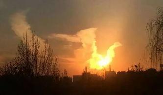 火凤凰吃瓜现场,揭秘娱乐圈幕后风云