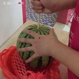 熙欢吃熙瓜