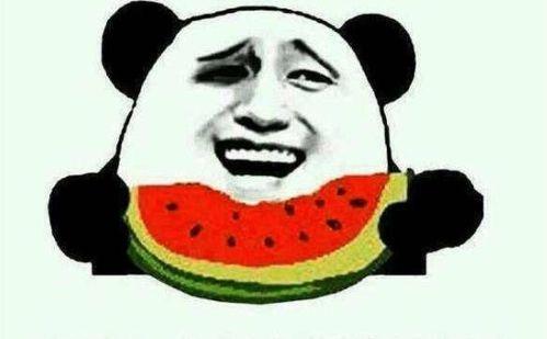 吃瓜传媒文化,揭秘娱乐圈背后的娱乐文化现象