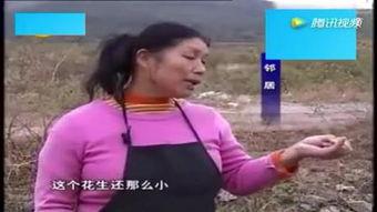 吃瓜继父继母,继父继母的甜蜜生活