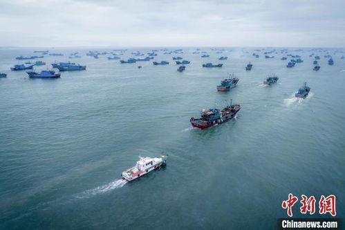 沿海渔船吃瓜,乘风破浪，瓜香四溢的海洋之旅