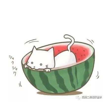 吃瓜群众必备头像,潮流与趣味并存