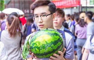 陕西大学免费吃瓜,免费吃瓜活动甜蜜来袭！