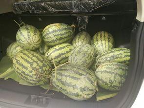 长垣吃瓜升高凳,凳子升高的趣味解读