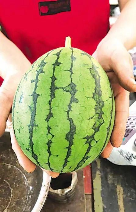 青岛最近的吃瓜,网红美食与街头趣事大揭秘