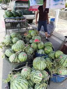 长沙校园吃瓜事件,揭秘校园网络舆论风波