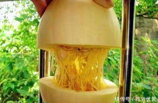 鱼翅瓜可以炒着吃,美味与营养的双重享受