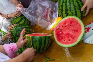 网上最火吃瓜视频