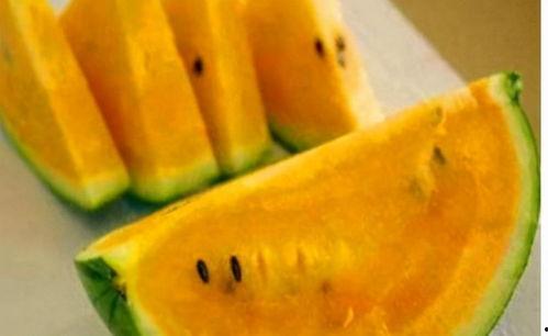 黄色生瓜怎么吃,黄色生瓜的多样食用方法探索