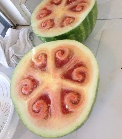 吃瓜干饭派,揭秘网络时代的娱乐生活方式