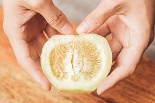 吃瓜忘吐皮的瓜,品味人生百态