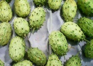 怎样吃刺角瓜,解锁健康营养的食用之道